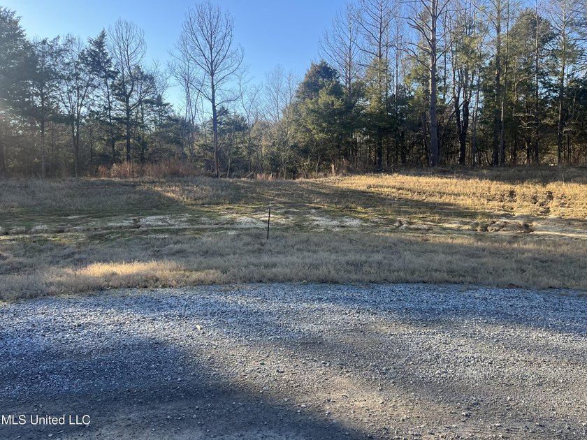 Welcome to Springwood Trail, come experience this new lakefront - photo 10