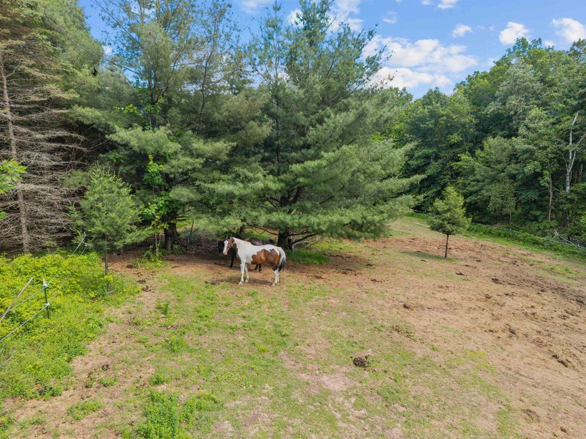 Country Road, take me home... to 200880 Canopy Lane, a peaceful - photo 5