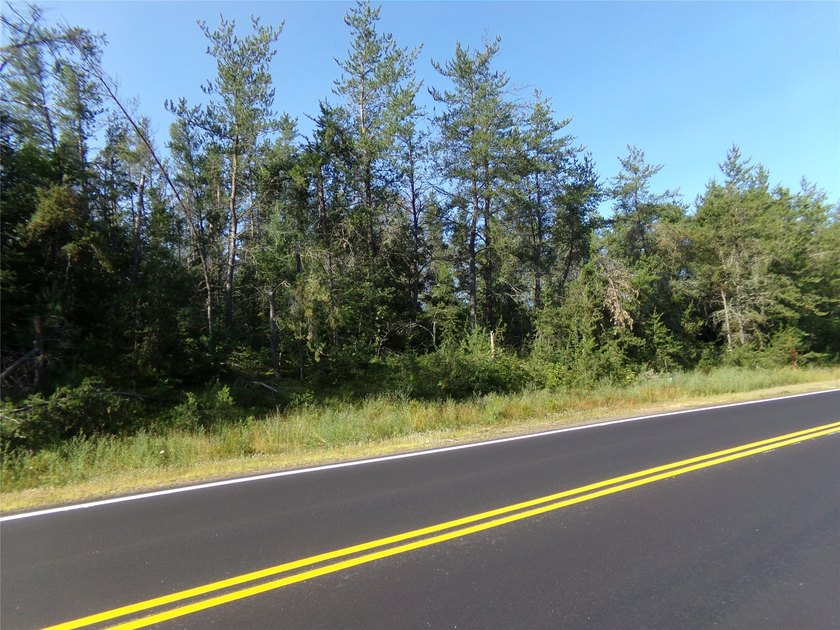 Prime Location! 8.38 Acre spacious and wooded residential lot in - photo 2