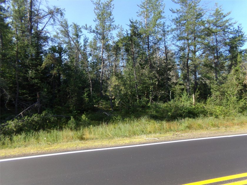 Prime Location! 8.38 Acre spacious and wooded residential lot in - photo 6