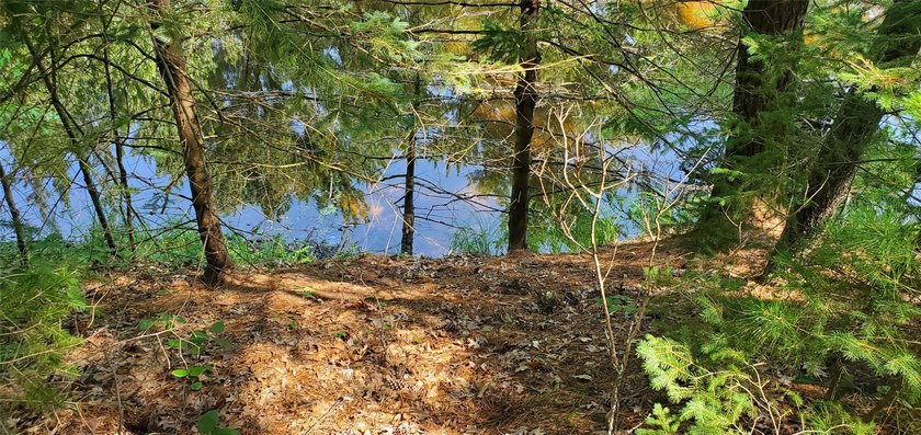 Beautiful wooded Chippewa River lot for your private get-away - photo 6