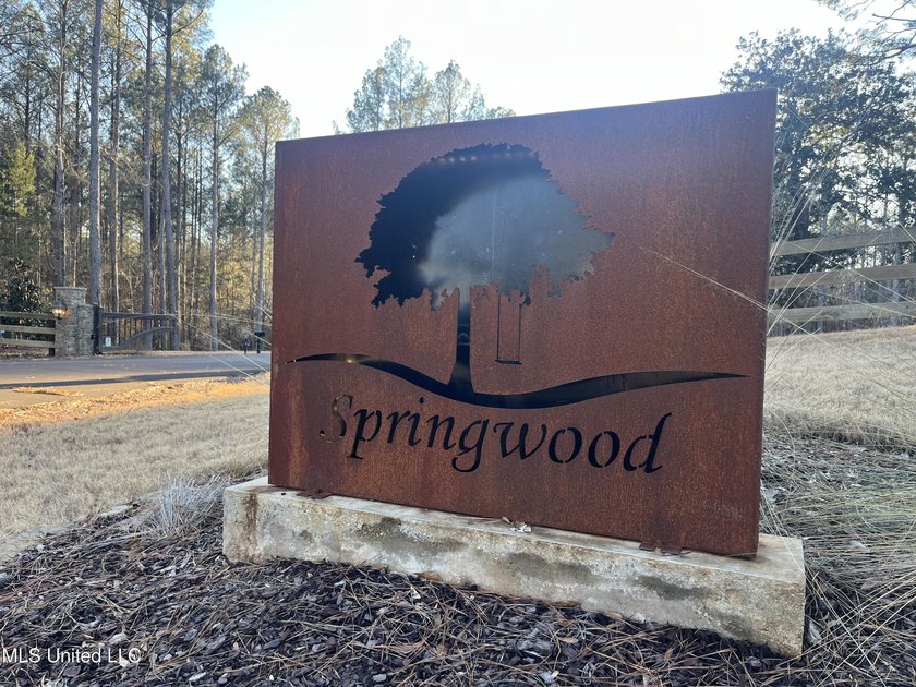 Welcome to Springwood Trail, come experience this new lakefront - photo 3