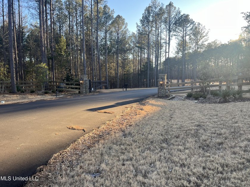 Welcome to Springwood Trail, come experience this new lakefront - photo 6