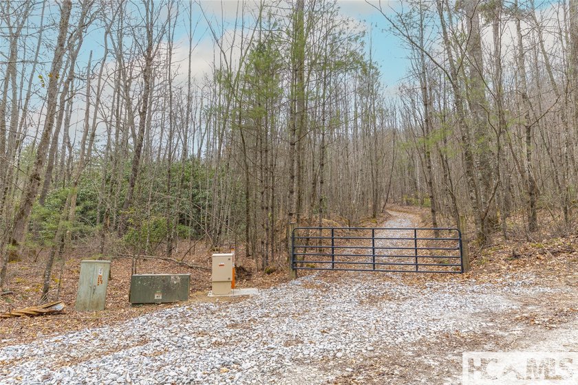 A blank canvas awaits you on this 35+/- acre unrestricted land - photo 5