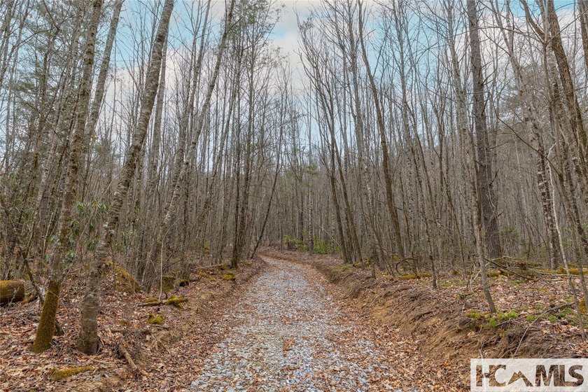A blank canvas awaits you on this 35+/- acre unrestricted land - photo 7