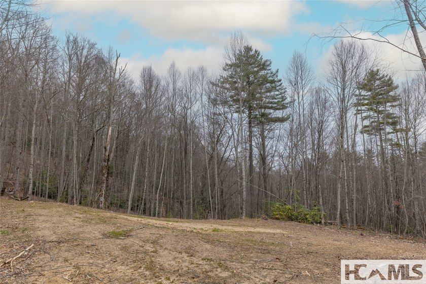 A blank canvas awaits you on this 35+/- acre unrestricted land - photo 9