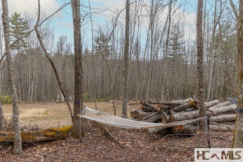 A blank canvas awaits you on this 35+/- acre unrestricted land - photo 10