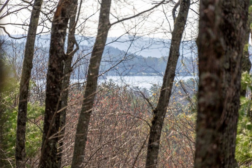 *Kalmia Knoll* perched above Lake Toxaway, is an exceptional - photo 4