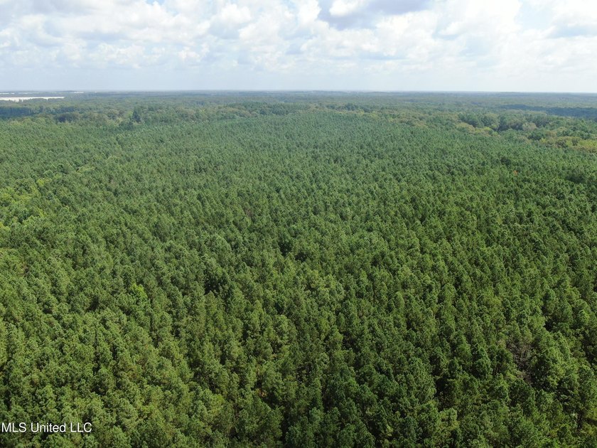 A prime investment opportunity with approximately 205 acres of - photo 15