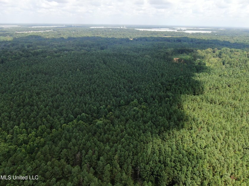 A prime investment opportunity with approximately 205 acres of - photo 17