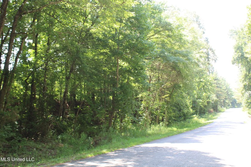 A prime investment opportunity with approximately 205 acres of - photo 19