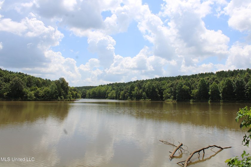 A prime investment opportunity with approximately 205 acres of - photo 20