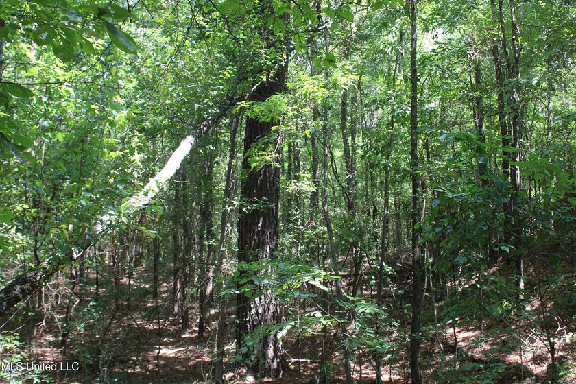 A prime investment opportunity with approximately 205 acres of - photo 23