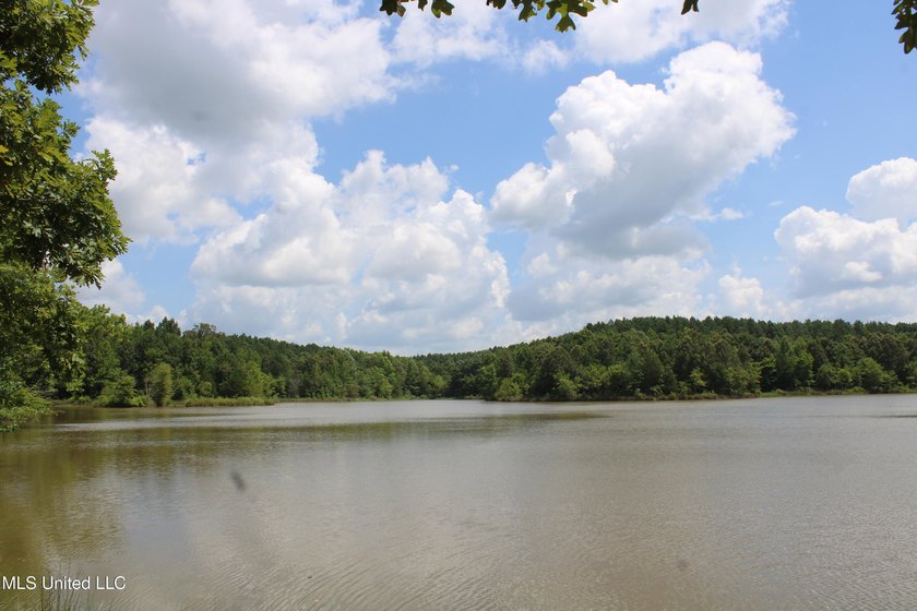 A prime investment opportunity with approximately 205 acres of - photo 24