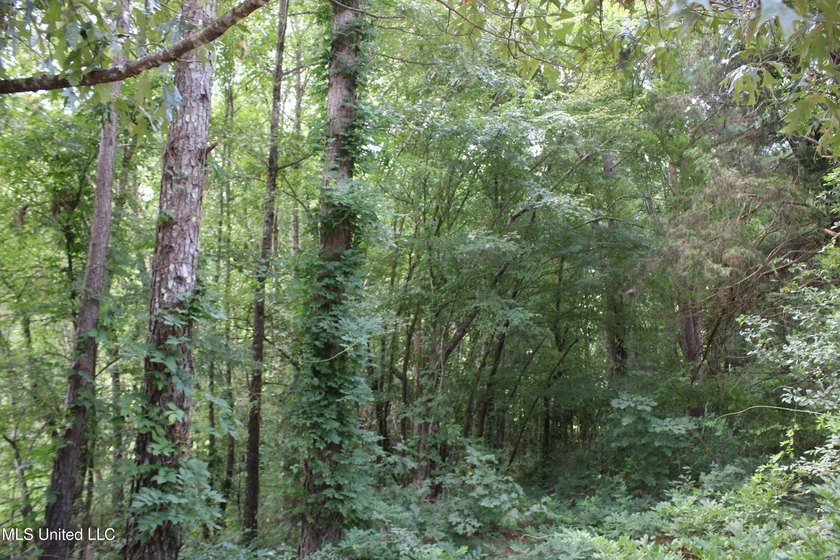A prime investment opportunity with approximately 205 acres of - photo 26