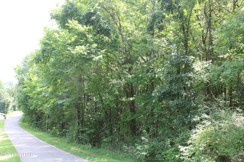 A prime investment opportunity with approximately 205 acres of - photo 28
