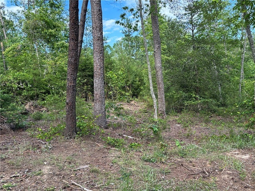 Nestled in the serene Keowee Bay subdivision, this exceptional - photo 45