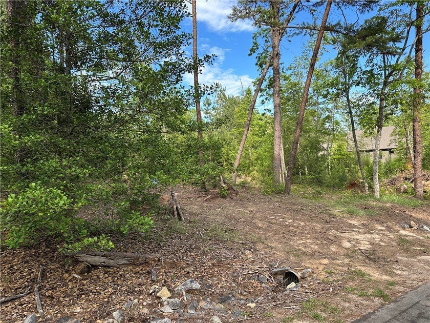 Nestled in the serene Keowee Bay subdivision, this exceptional - photo 48