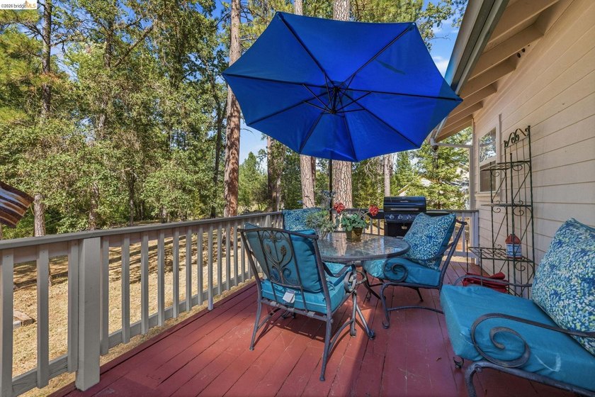 Experience the beauty of foothill living in this elegant home - photo 26