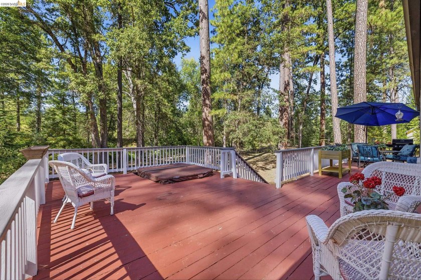 Experience the beauty of foothill living in this elegant home - photo 29