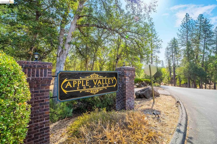 Experience the beauty of foothill living in this elegant home - photo 35