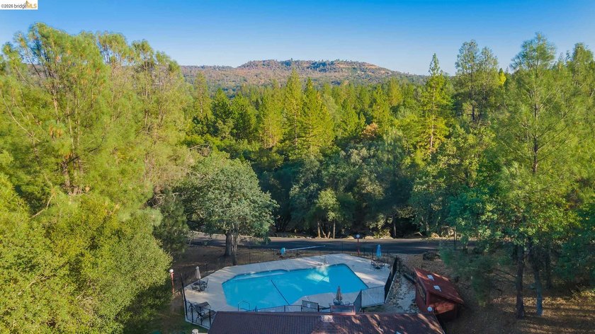 Experience the beauty of foothill living in this elegant home - photo 36