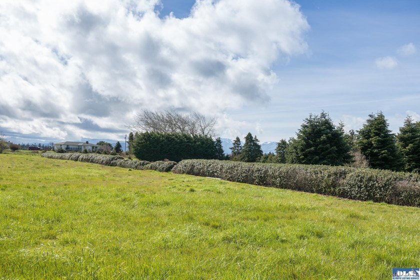 This is your opportunity to own the last available lot on scenic - photo 20