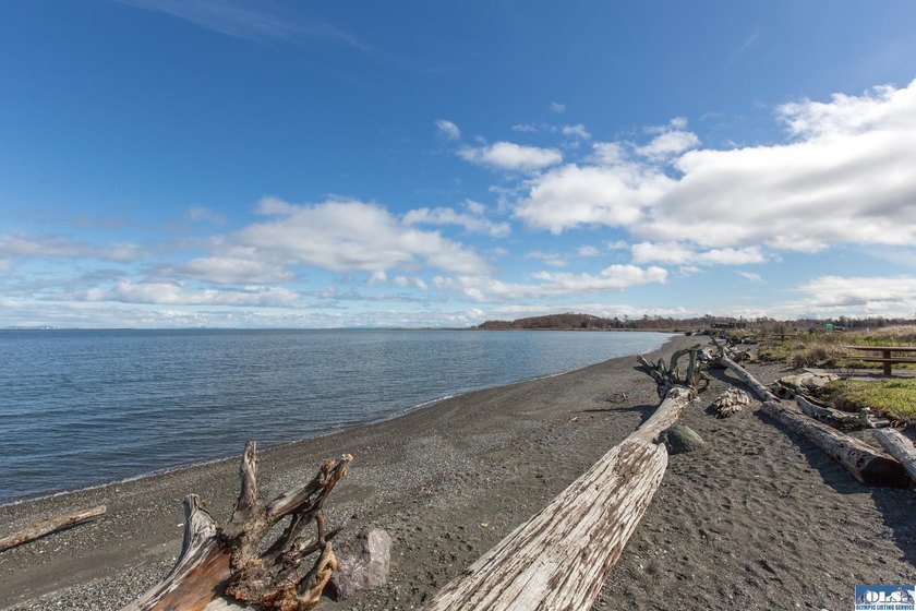 This is your opportunity to own the last available lot on scenic - photo 24