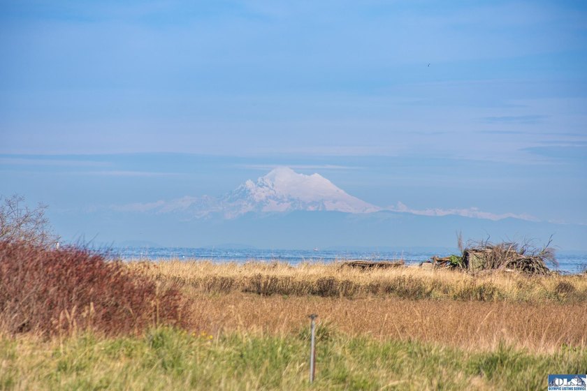 This is your opportunity to own the last available lot on scenic - photo 25