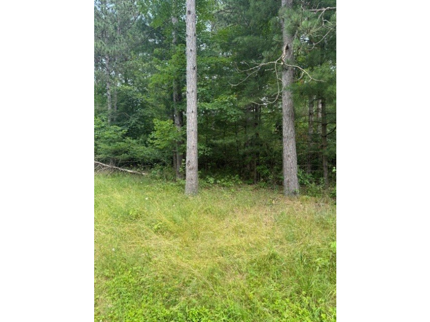 Discover the perfect escape with this incredible 90-acre wooded - photo 2