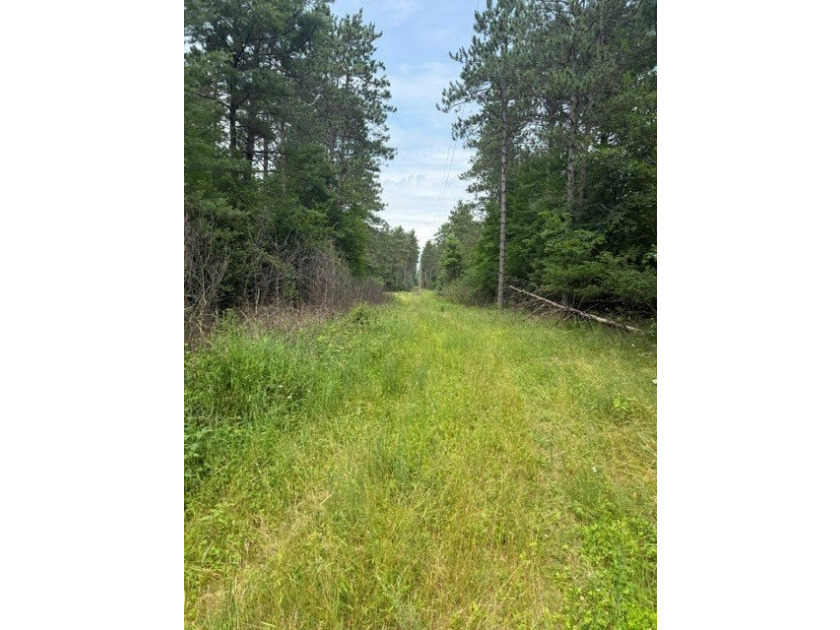 Discover the perfect escape with this incredible 90-acre wooded - photo 3
