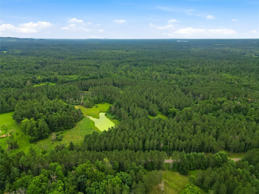 Discover the perfect escape with this incredible 90-acre wooded - photo 6
