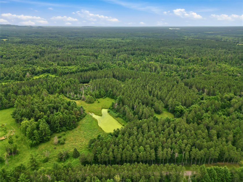 Discover the perfect escape with this incredible 90-acre wooded - photo 7