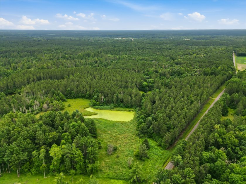 Discover the perfect escape with this incredible 90-acre wooded - photo 8