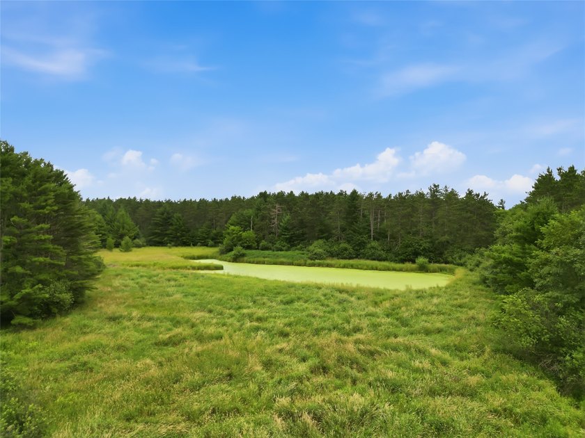Discover the perfect escape with this incredible 90-acre wooded - photo 9