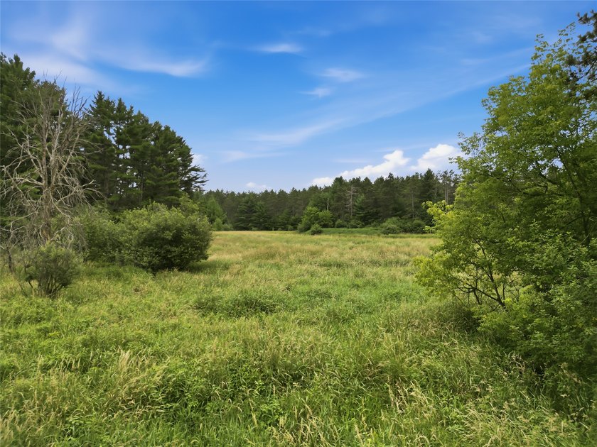 Discover the perfect escape with this incredible 90-acre wooded - photo 10