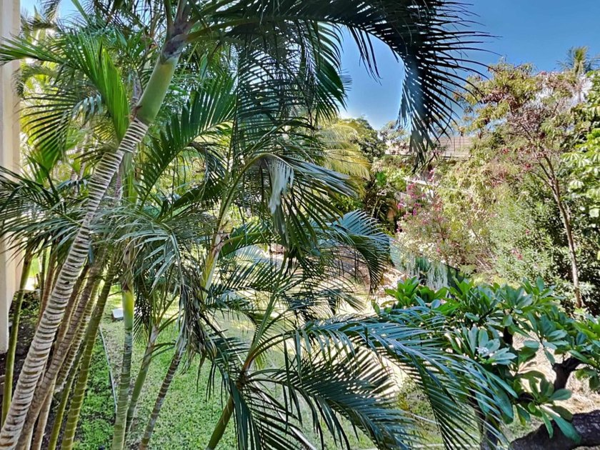 Welcome to Kihei Akahi D-101, a beautifully remodeled - photo 22