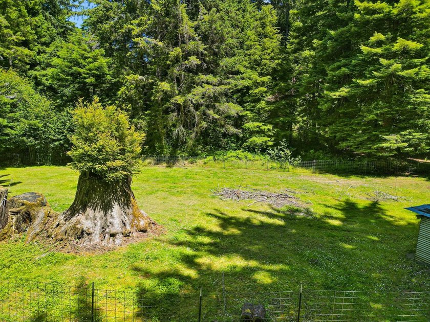 Discover your own private paradise with this expansive 6.00-acre - photo 33