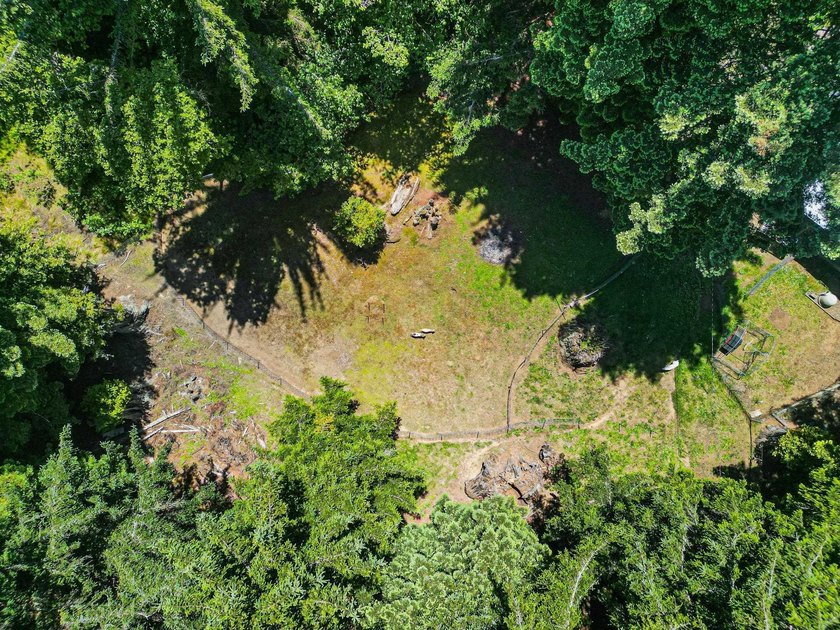 Discover your own private paradise with this expansive 6.00-acre - photo 41