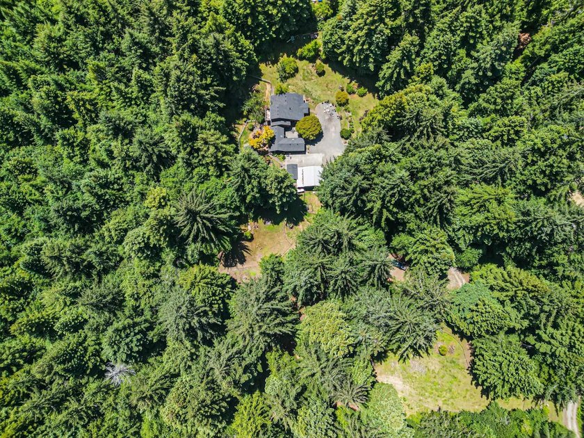 Discover your own private paradise with this expansive 6.00-acre - photo 42