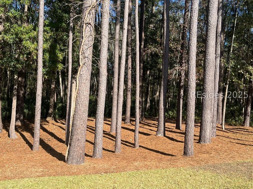 Step into this beautifully landscaped Acadia model, meticulously - photo 3