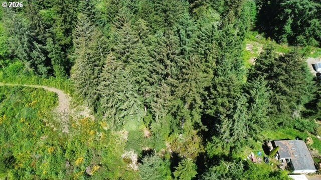 This beautiful 4.18-acre parcel boasts level to gently rolling - photo 13