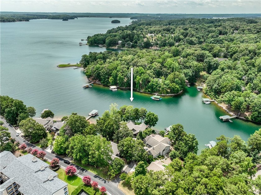 The Keowee Life awaits you at 3 Horizon Pointe. This luxury home - photo 6