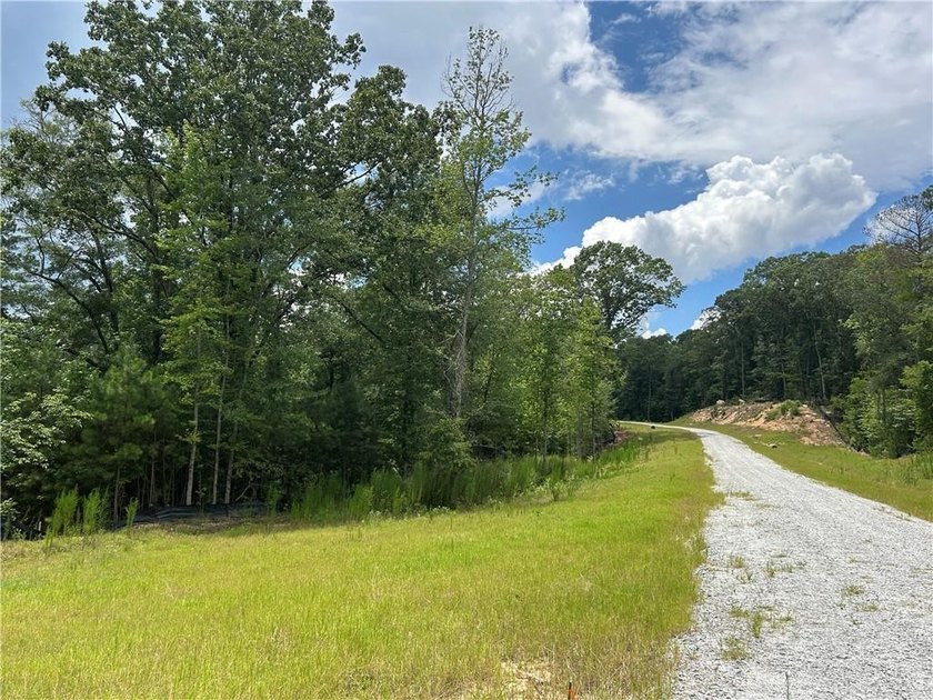 Welcome to Lot 2 at Hamilton Farms, a beautiful 10.33-acre - photo 4