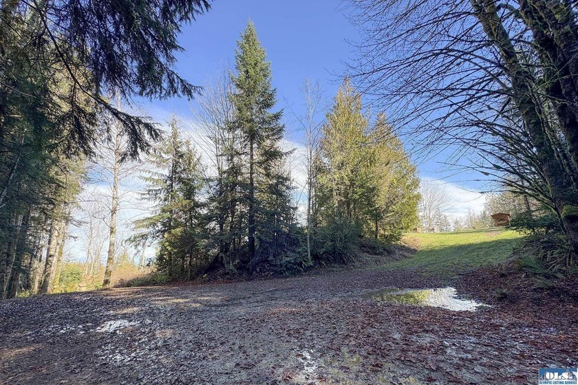 An exceptional 5-acre parcel defined by scenic beauty and - photo 13