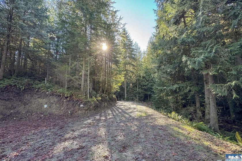 An exceptional 5-acre parcel defined by scenic beauty and - photo 14