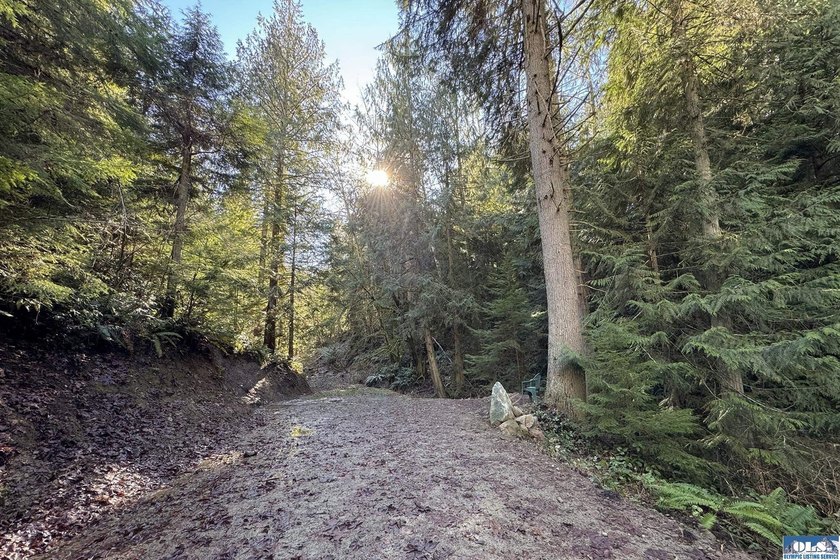 An exceptional 5-acre parcel defined by scenic beauty and - photo 15
