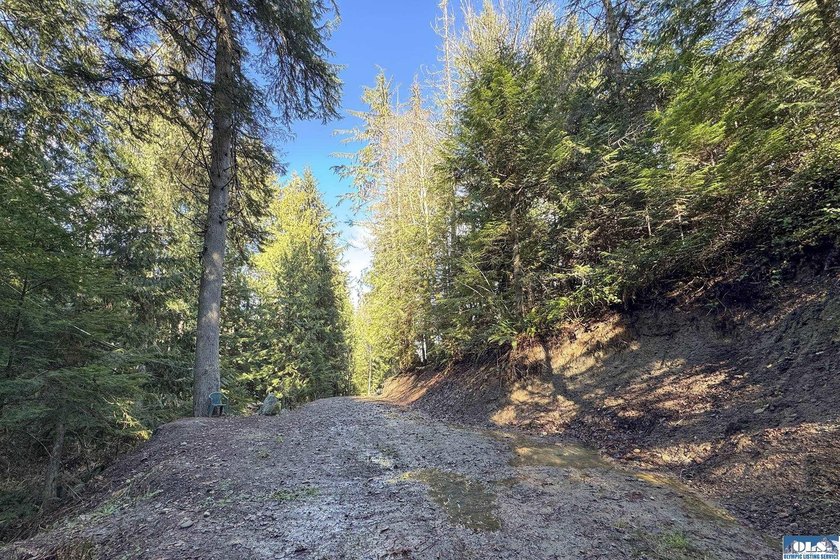An exceptional 5-acre parcel defined by scenic beauty and - photo 17