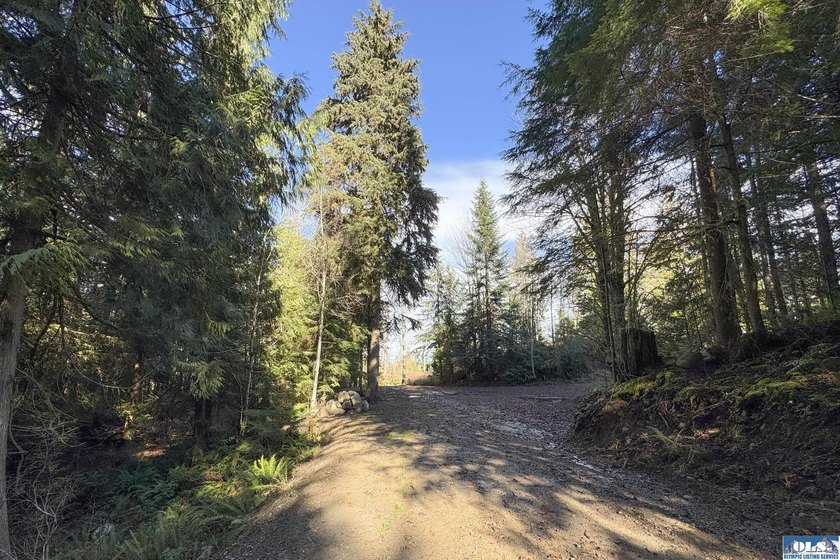 An exceptional 5-acre parcel defined by scenic beauty and - photo 19