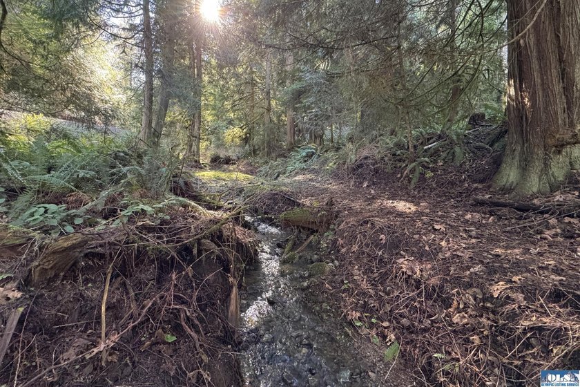 An exceptional 5-acre parcel defined by scenic beauty and - photo 20